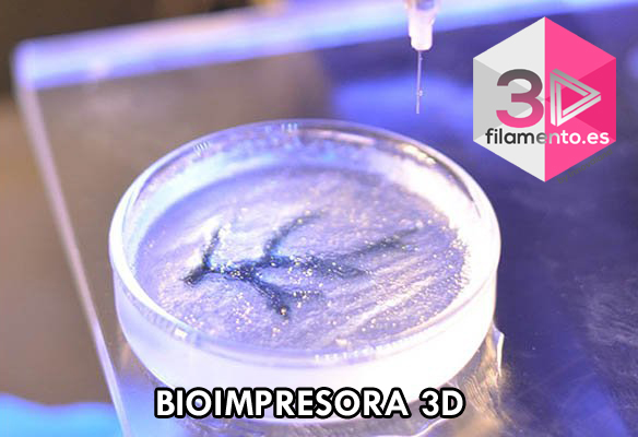 Bioimpresora 3D DIY para investigación + asistencia y ayuda